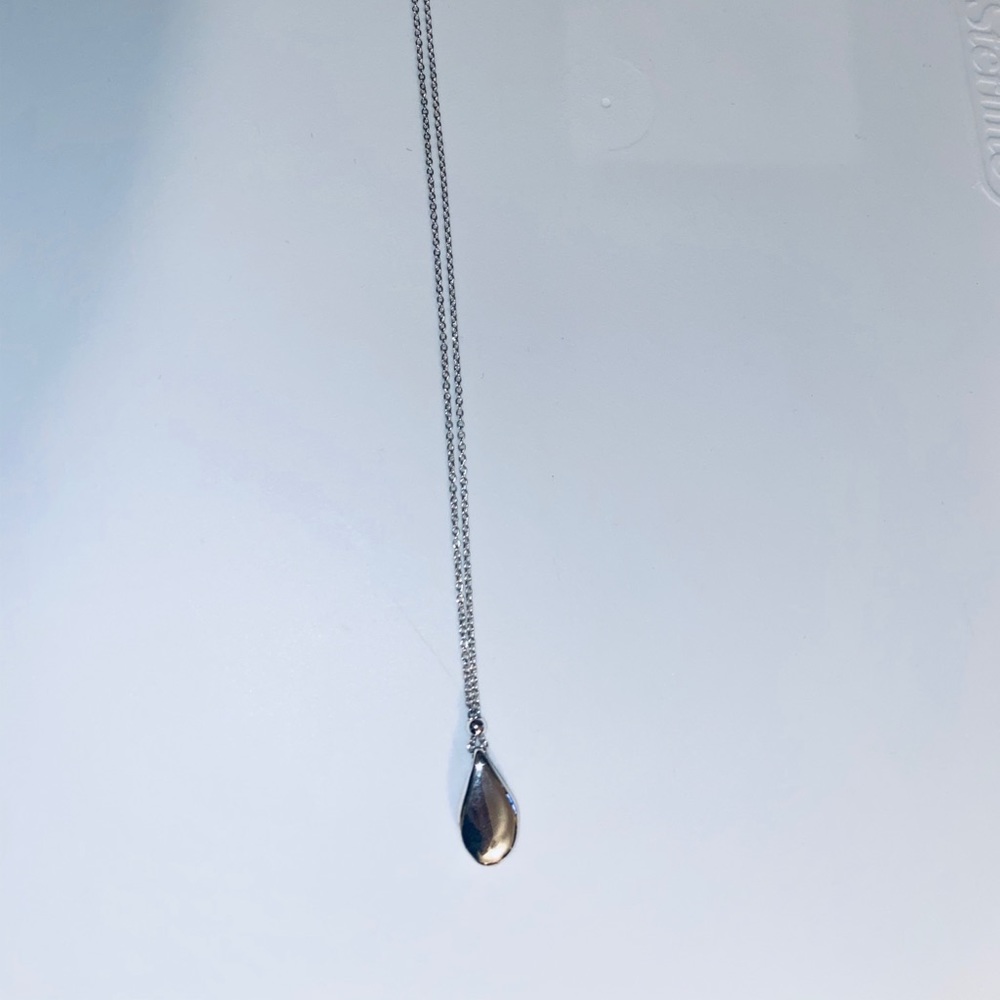 Express necklace - Picture 1 of 1